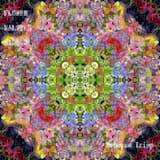 The Waltz of Poppies