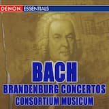 Concerto No. 1 in F major, BWV 1046, I. Allegro