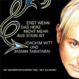 Erst wenn das Herz nicht mehr aus Stein ist (Club Remix)