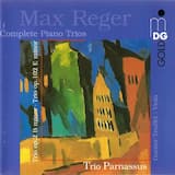 Trio for Violin, Violoncello and Piano, op. 102: Allegro moderato, ma con passione