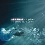 Temul (Lie Low) (single version)