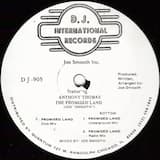 Promised Land (Underground mix)