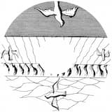 Les Champs Lissajous