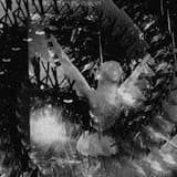 Land of Trembling Earth