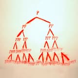 Misshaping Introduction