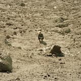 A Boat to an Island on the Wall