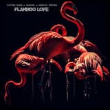 Flamingo Love