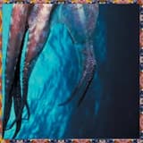 Empress’ Curfew Inviolate