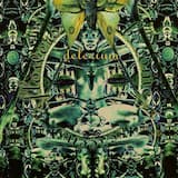 Flowers Become Screens (edit)