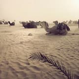 We Can Go Everywhere (Original Version)