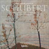 Piano Sonata in B-flat major, D. 960: Molto moderato