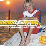 I'm Gonna Miss You Forever (radio edit)