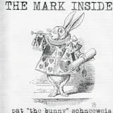 Song for the Stray Cat on the Fence