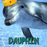 DAUPHIN