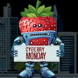 CYBERRY MONDAY