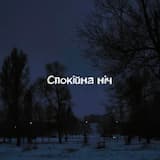 Спокійна ніч