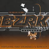 Once Again (Buzz Fuzz Mix)