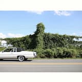 When in Rome, When in Memphis