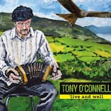 Jigs: Sunny Hills of Beara / Fox in the Thatch