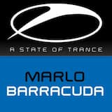 Barracuda (original mix)