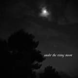 Rune X - Die Mondfl&uuml;sterin