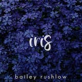 Iris (Acoustic)