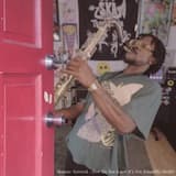 How Do You Know It’s Not Armadillo Shells?