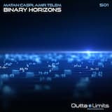Binary Horizons