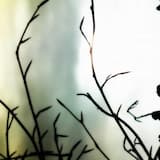 Two Miles of Uncertainty