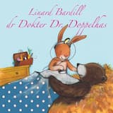 En Dokter us Zuefall