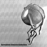 Coagulating Haemorrhage