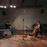 Let's Do It, Let's Fall in Love