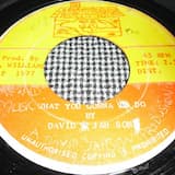 What You Gonna Do (version)