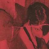 20 Den Synthetic Study 1