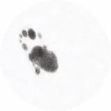 Give Up (Never Gonna) (original 12" mix)