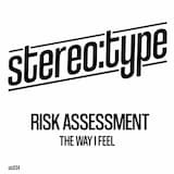 The Way I Feel (Risk Assessment vocal)