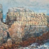 Fantasias, op. 116: No. 1 in D minor: Capriccio