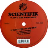 I Ain't The Damn One (Album Version)