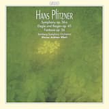 Symphony in C-Sharp Minor, Op. 36a: I. Moderato