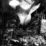 Belligerent And Drunk