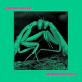 Till Your Rose Comes Home