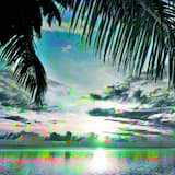 Vacation Packages Available