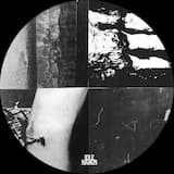 Surprise Sisters Devil Mix