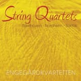 String Quartet in E-flat major, op. 74 “Harp”: I. Poco adagio - Allegro