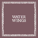 Water Wings