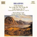 Cello Sonata no. 1, op. 38: III. Allegro