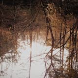 I’ll Never Be Younger