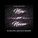 DJ Shah Ft. Aruna - Now Or Never (DJ Soltrix Bachata Rework)