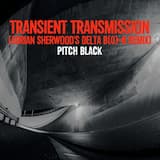 Transient Transmission (Adrian Sherwood’s Delta B(0)=B remix)