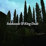 Sorrow And Its Companions